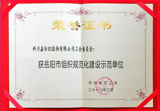 湖南科力嘉紡織股份有限公司,湖南環(huán)錠紡紗銷售,氣流紡紗銷,高檔精梳緊密紡賽絡(luò)紡棉紗哪里好